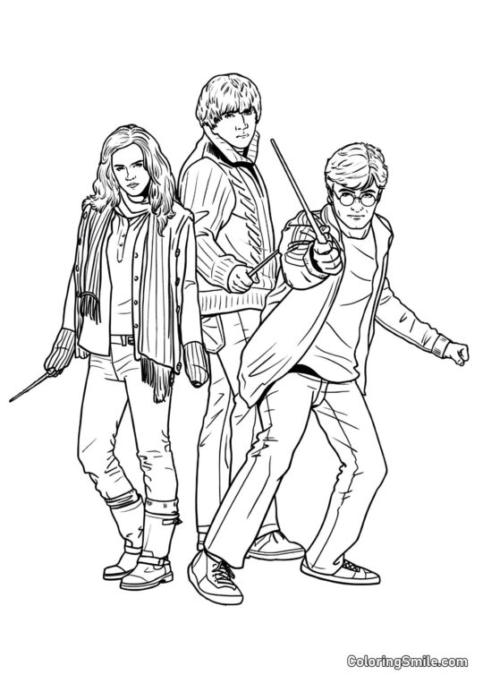 Harry, Hermione et Ron - Page de Coloriage