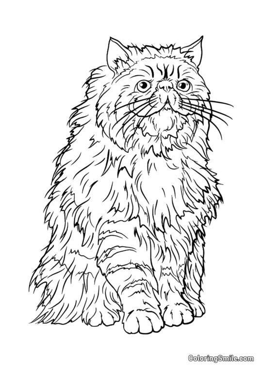 Crookshanks – le chat d&rsquo;Hermione - Page de Coloriage