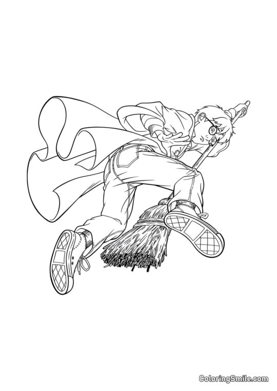 Harry en Cartoon sur un balai - Page de Coloriage