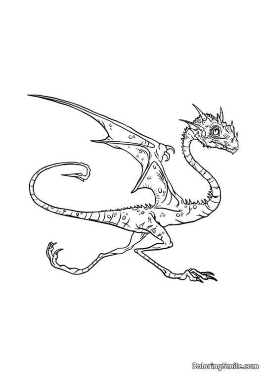 Norbert – le dragon de Hagrid - Page de Coloriage