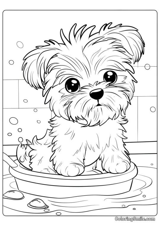 Chien mignon prenant un bain - Page de Coloriage