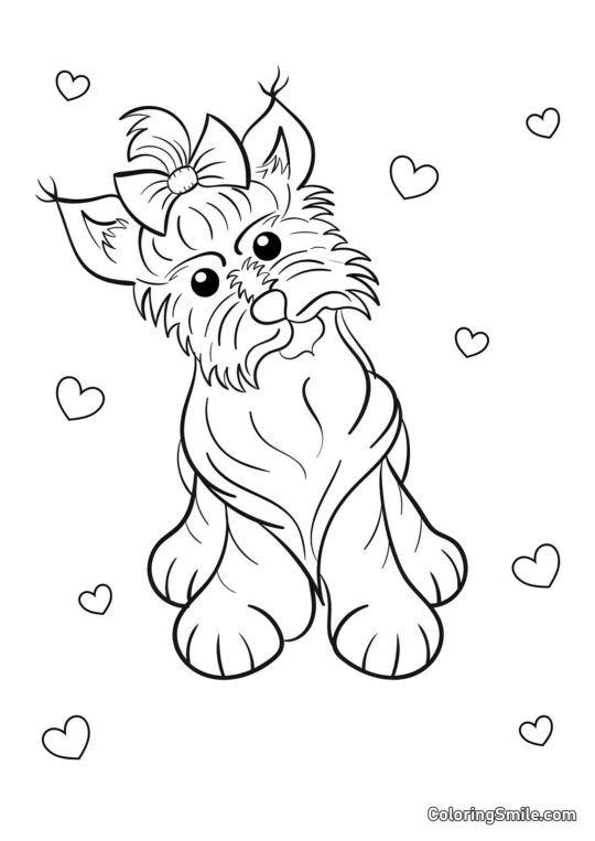 Yorkshire Terrier - Page de Coloriage