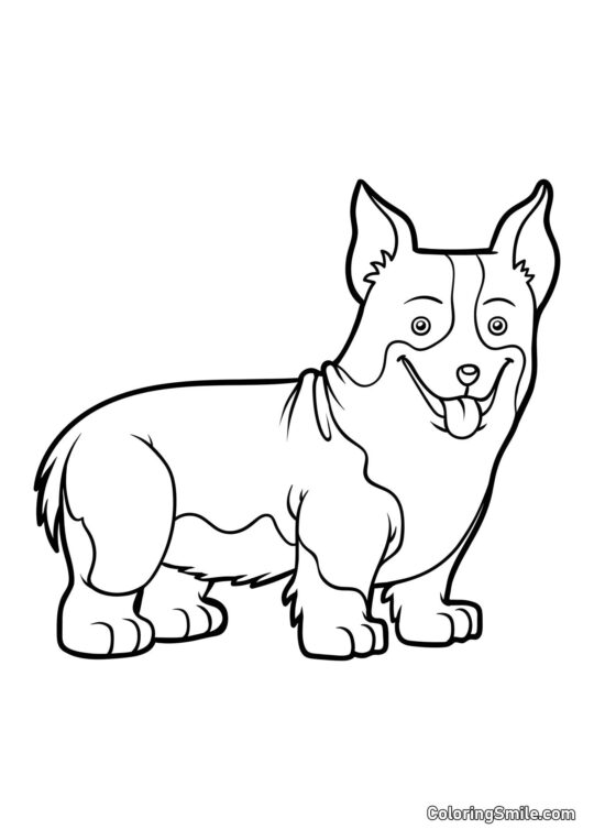 Corgi - Page de Coloriage