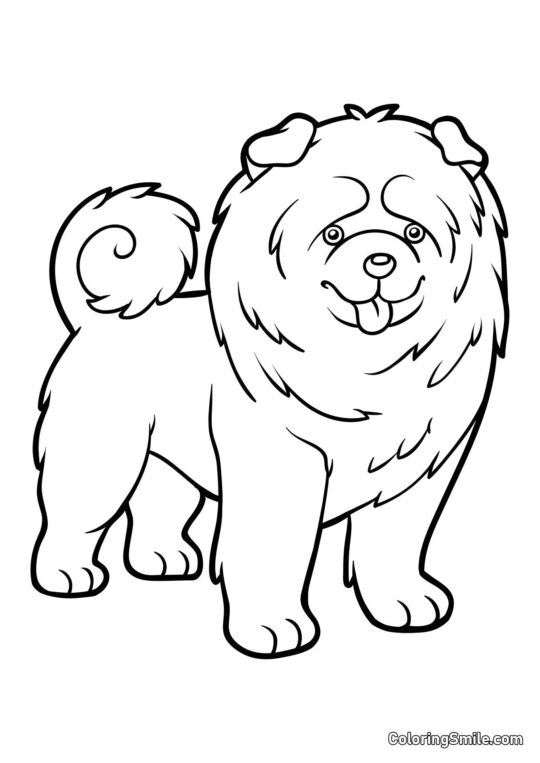 Chow Chow - Page de Coloriage
