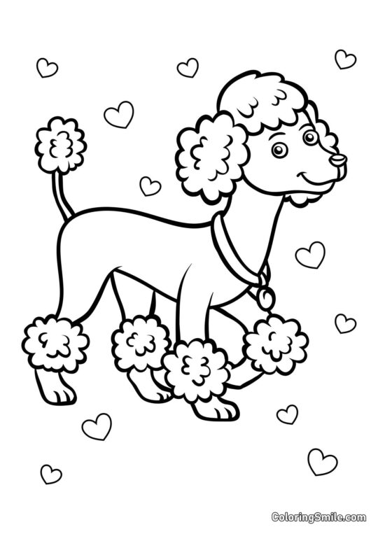 Mignon Caniche - Page de Coloriage