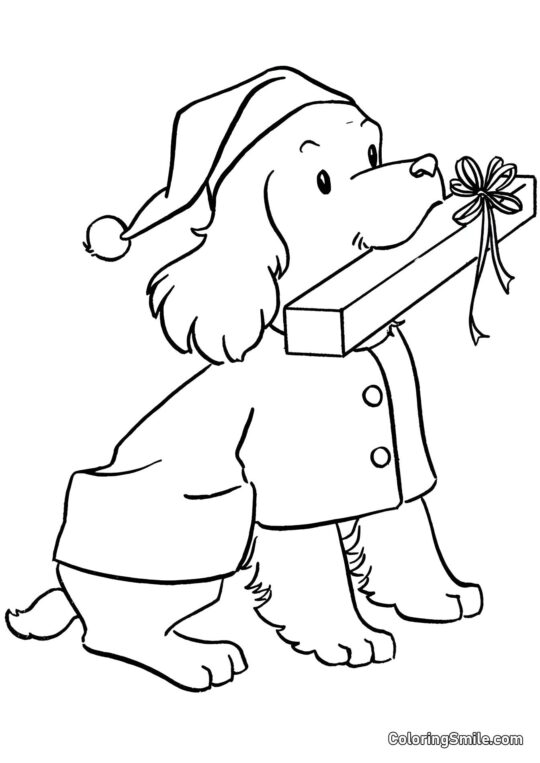 Chien avec un cadeau - Page de Coloriage
