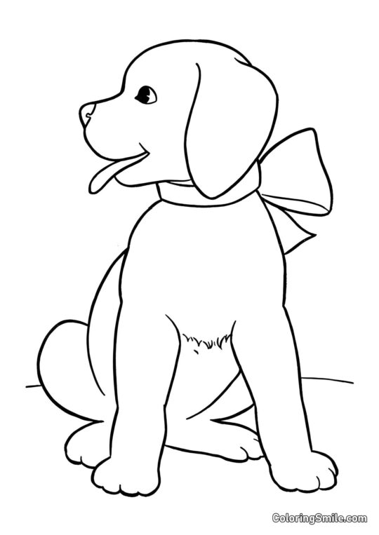 Chien élégant - Page de Coloriage