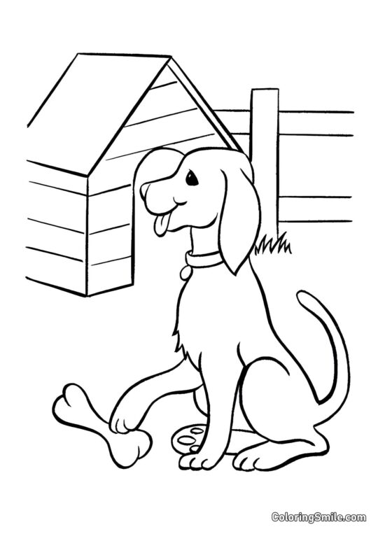 Chien et chenil - Page de Coloriage