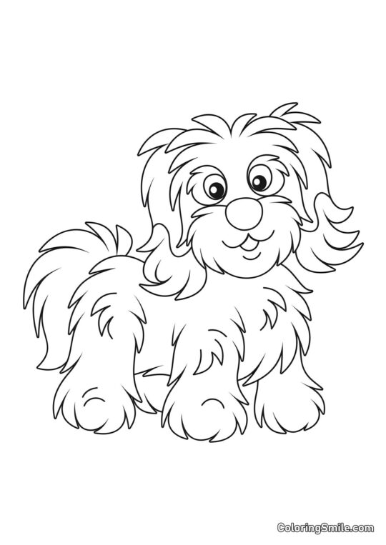 Chien décoratif - Page de Coloriage