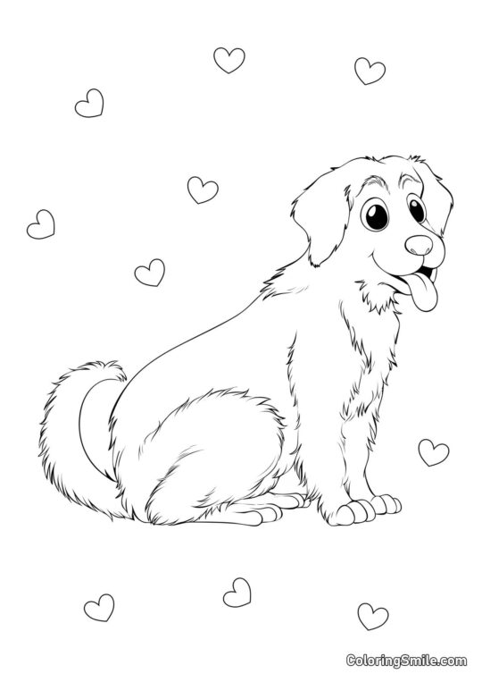 Golden Retriever - Page de Coloriage