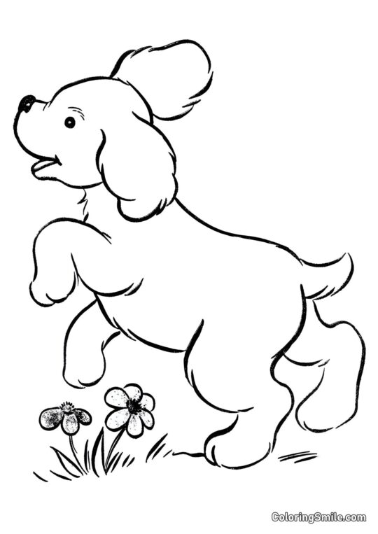 Petit chiot - Page de Coloriage