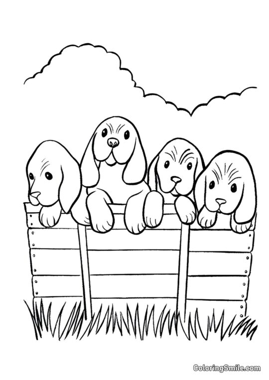Quatre chiens - Page de Coloriage