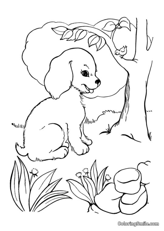 Chien dans la forêt près d&rsquo;un arbre - Page de Coloriage