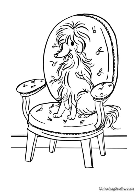 Chien – Mademoiselle - Page de Coloriage