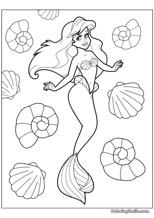 Ariel la sirène et coquillages - Page de Coloriage