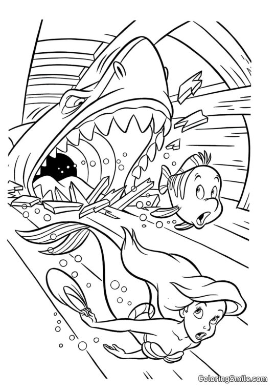 La sirène et le requin - Page de Coloriage