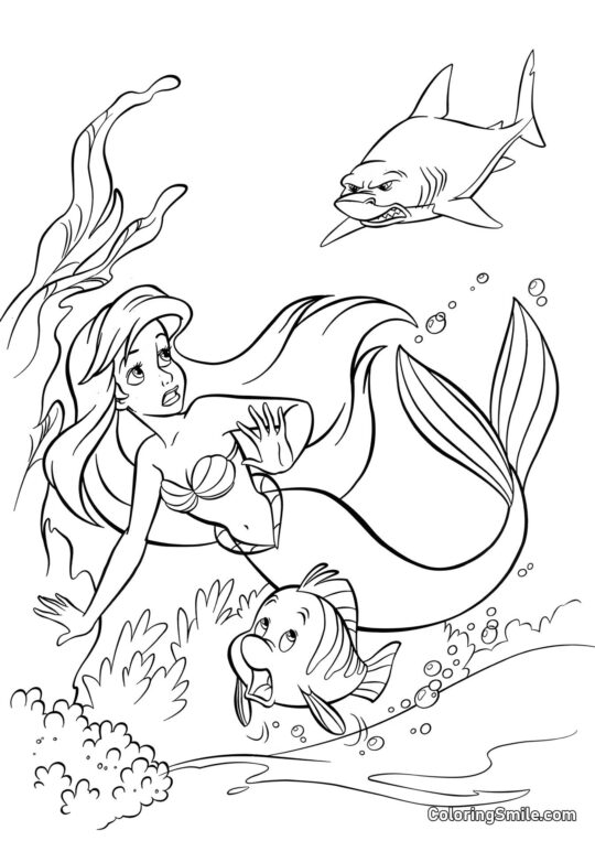 La sirène et Poisson Clown échappant au requin - Page de Coloriage