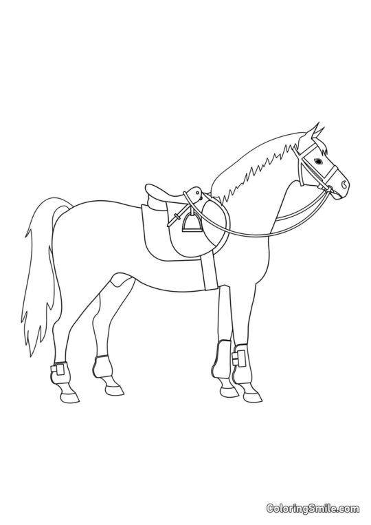 Cheval avec une selle - Page de Coloriage