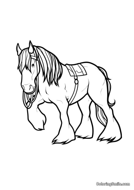 Poney - Page de Coloriage