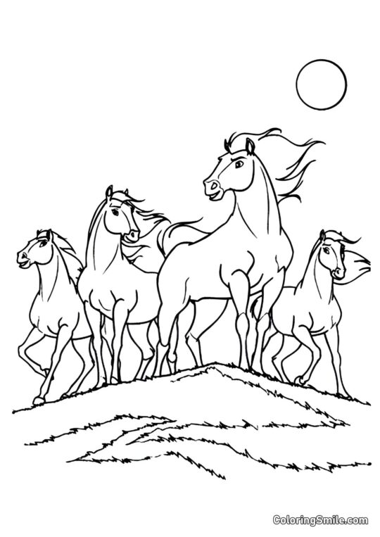 Chevaux sauvages - Page de Coloriage