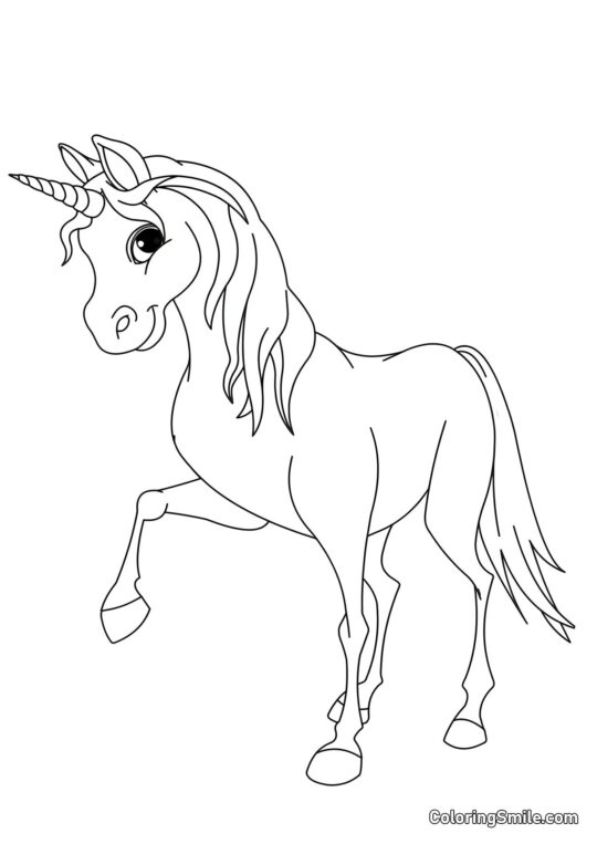 Poney-bébé - Page de Coloriage