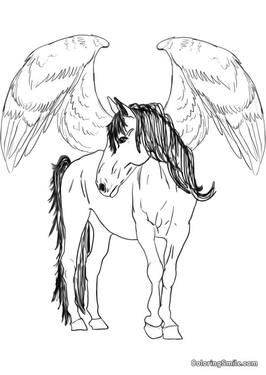Pégase ailé - Page de Coloriage