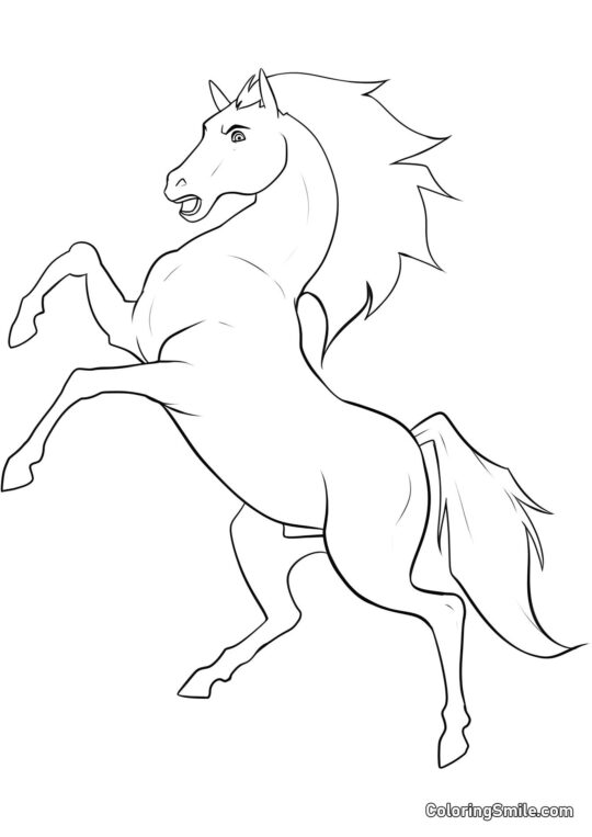 Cheval se cabrant - Page de Coloriage