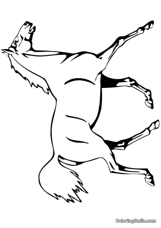 Cheval lors d&rsquo;un spectacle - Page de Coloriage