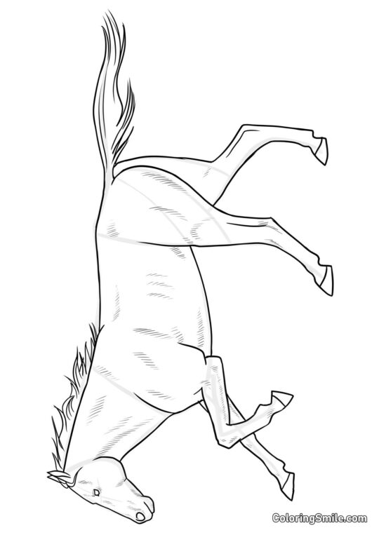 Cheval gracieux - Page de Coloriage
