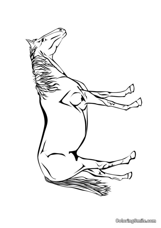 Cheval exquis - Page de Coloriage