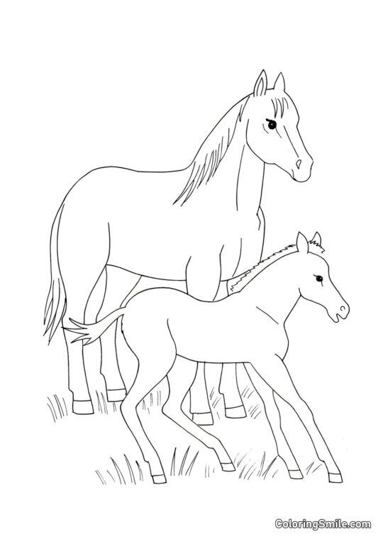 Jeunes chevaux - Page de Coloriage