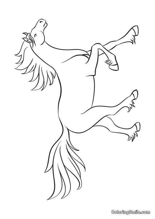 Cheval simple - Page de Coloriage