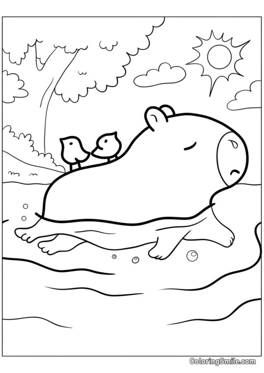 Capybara nageant avec des oiseaux - Page de Coloriage