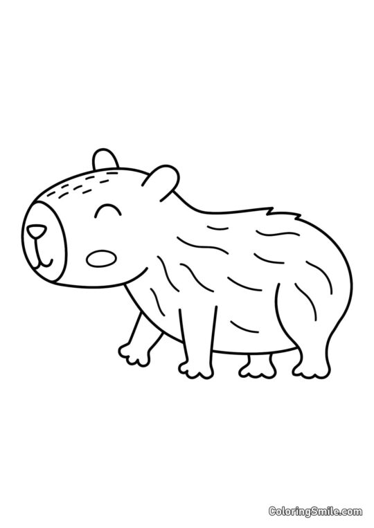 Capybara pour enfants - Page de Coloriage
