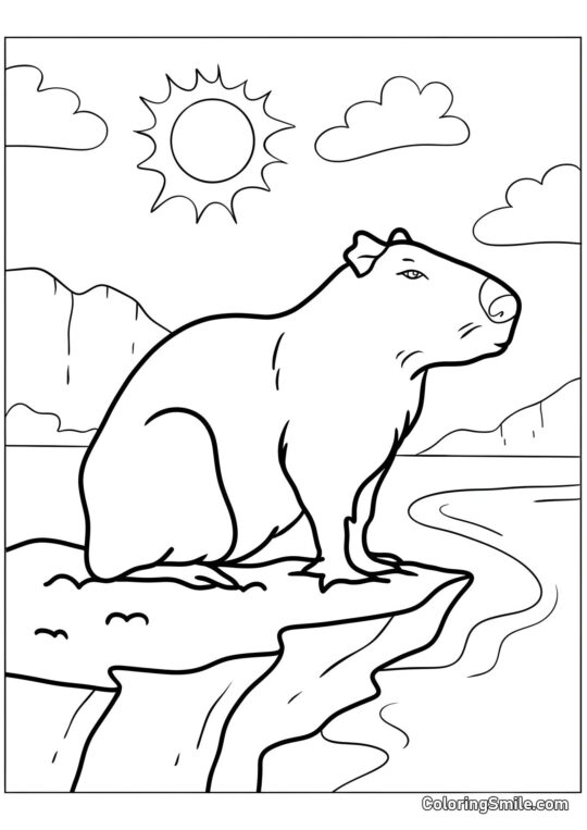 Capybara sur un rocher - Page de Coloriage
